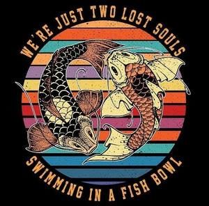 Meet your Posher, Dominic